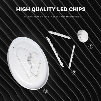 Modern LED Ceiling Light Lamp Surface Mount Lighting Fixture