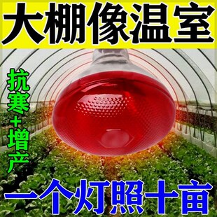 大棚升温灯植物防寒防冻蔬菜火龙果草莓花卉仿太阳光增温取暖省电