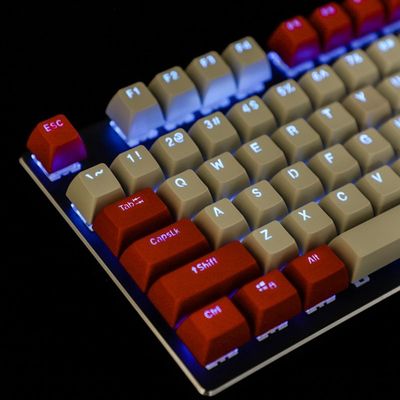 网红SA Profile 104 Key Double Shot Shine Through Dolch PBT B