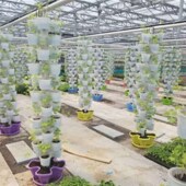 无土栽培设备阳台种菜蔬菜大棚水培管道种植槽W耕机盆景花盆