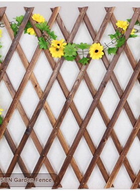 5Ft Expanding Wooden Garden Wall Fence Panel Plant Climb Tre