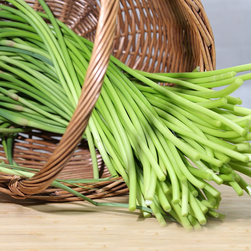 2023新鲜蒜苔农家脆嫩短蒜苔红帽农g家自种当季蔬菜蒜苗毫蒜薹现