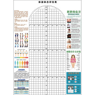 定制体态评估表瑜伽私教体位姿势身体评估背景墙体测表免费加logo