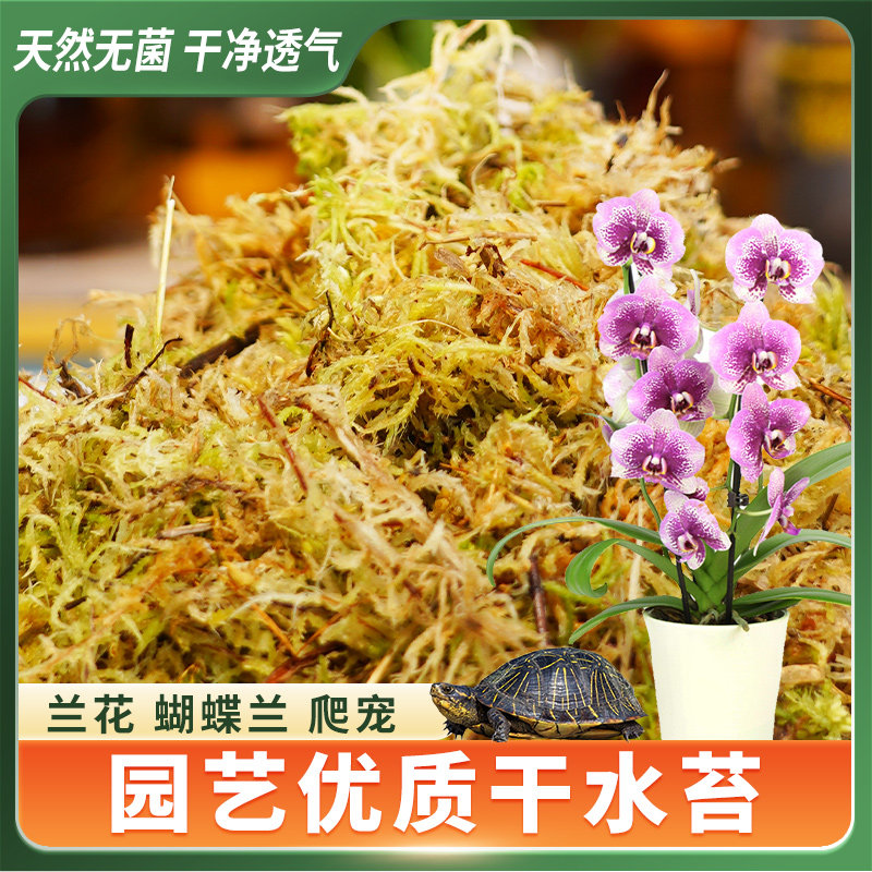 干苔藓蝴蝶兰专用营养土无菌水苔兰花石斛纯天然青苔爬宠乌龟垫材