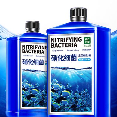 厂家硝化细菌鱼缸用养鱼用品消化硝化水族净化水质稳定剂净水剂硝