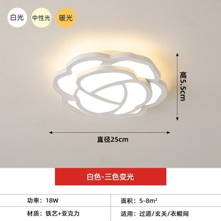 家用过道灯现代全光谱入户玄关灯护眼走廊吸顶灯极简玫瑰阳台灯具