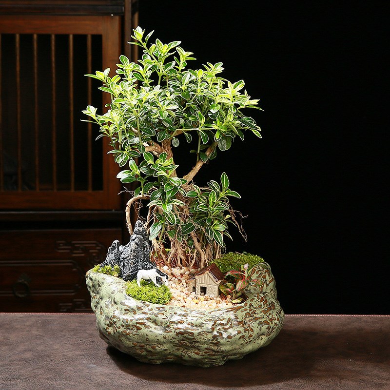 现货陶瓷大号拼盘造景哥窑花盆紫砂复古铜绿釉创意个性植物组合盆
