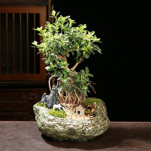 现货陶瓷大号拼盘造景哥窑花盆紫砂复古铜绿釉创意个性植物组合盆