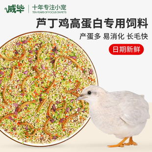 现货速发芦丁鸡饲料鹌鹑产蛋下蛋营养混合鸡粮食宠物鸡雏鸡小鸡开