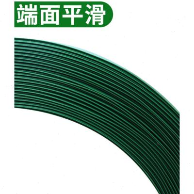 爆品打包带捆绑带塑胶条包装带塑钢带手工打包P绳打包机捆紮绿色