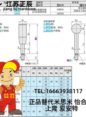 不锈钢固定握柄手柄长把手LRGNS6/8/10/12-63/80/100/125/160/200