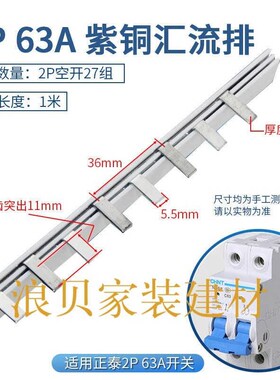 DZ47汇流排空气开关1/2/t3wP+N63A断路器空开漏电接线排铜排配电