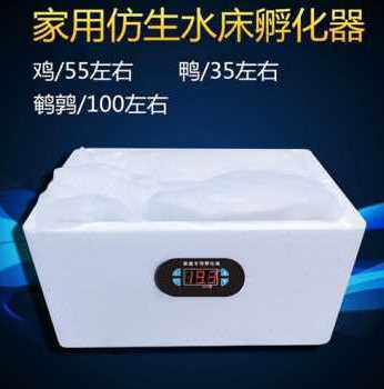 厂销新智能水床孵d化机家用n型o鸡鸭鹅孵化器55枚小型O90枚卵蛋品