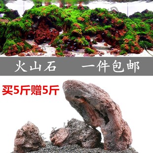 现货速发松皮石青龙石罗汉火山石火山岩鱼缸装 饰水族造景石小假山