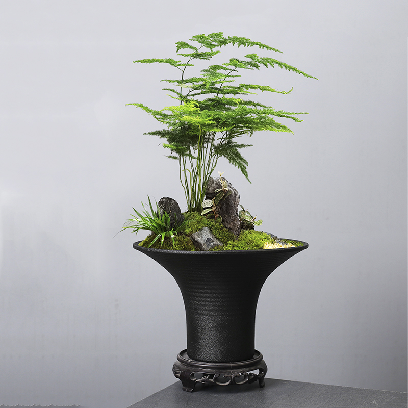 室内大号寂素雅风苔藓陶瓷侘盆竹简约创意米文竹花盆造景菖蒲批发