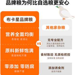 速发芦丁鸡饲料产蛋粮专用下蛋粮开口粮卢鸡幼鸡鸭育雏卢丁鸡食物