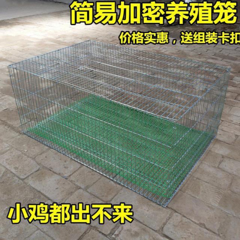 新品镀锌鸟笼加粗加密兔笼鸽子养殖笼鸡笼家用鹌鹑笼铁丝笼运输