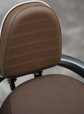 适用于九号电动车Q80C后靠背Q85后座靠Q30C/Q90后座靠背改装配件