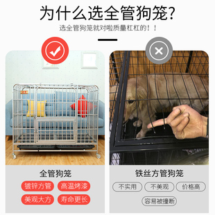 全管狗笼子大型犬中型n犬狗笼金毛萨摩耶边境牧羊犬拉布拉多室内