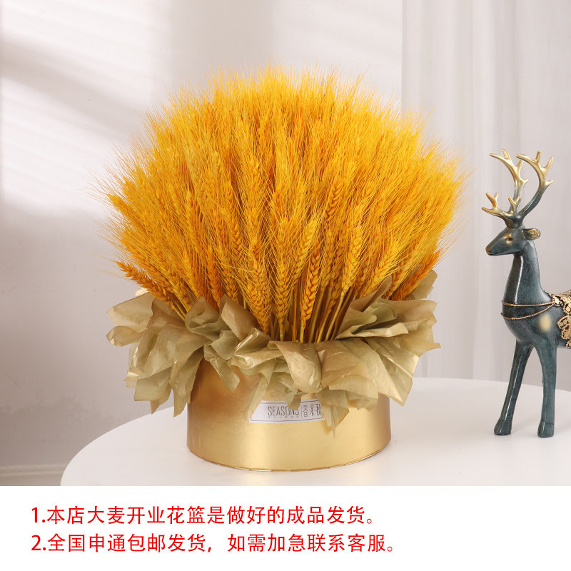 麦穗干花大麦花束开业花篮装饰摆件黄金小麦客厅乔迁w伴手礼品礼