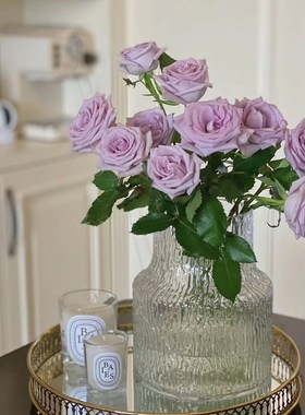 海洋之歌紫色小玫瑰开放度好紫色系温柔玫瑰