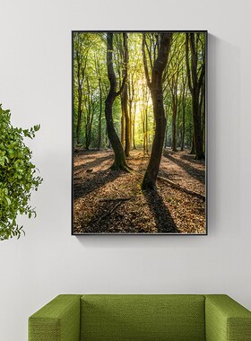 绿色森林大树木风景挂画客厅玄关主卧室餐厅饭馆酒吧办公室装饰画