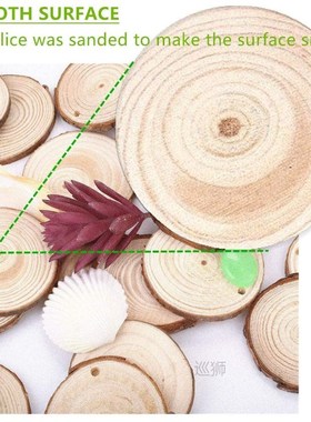 50pcs Natural Wood Slices Round Circle Tree Bark Log 2-7cm W