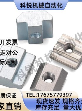 AHN31-4010滑块螺母不锈钢紧固配件206/308/408-M3/M4/M5/M8/M6