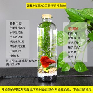 速发生态瓶科学用观赏鱼缸微景观免换水植物diy材料包微观斗鱼小