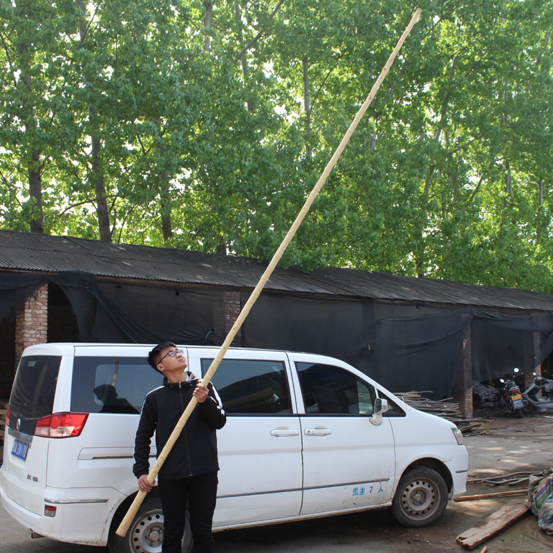 十年老杆白蜡杆武术棍少林长棍子抖大杆太极大杆黄皮圆木棍4米