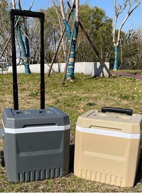 nlZ18L28L38L户外保温箱拉杆D式商用摆摊流动雪糕车冰桶冷藏箱带