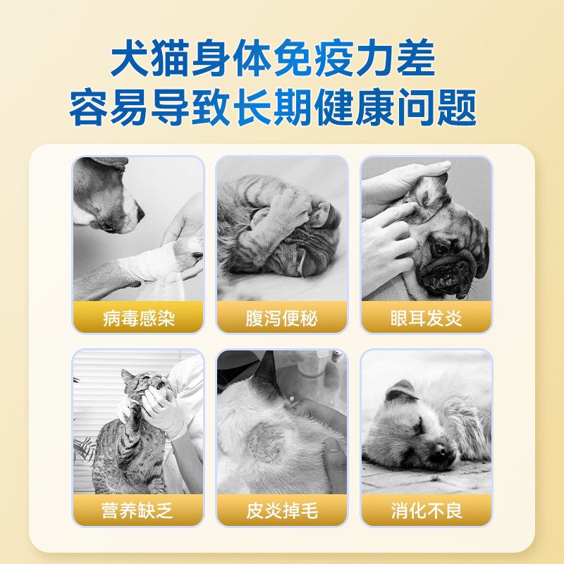 乳铁蛋白猫咪狗狗提高增r强免疫力补充营养膏猫鼻支幼猫犬蛋白胶