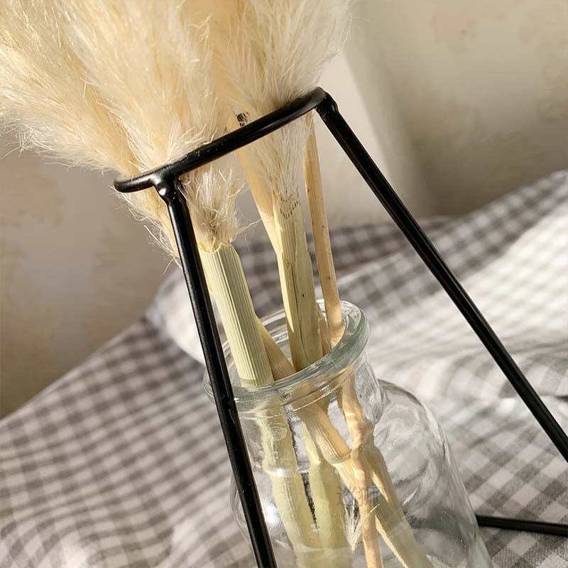 55cm Pampas Grass Decor Extra Large Natural Dried Flowers Bo