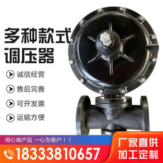 Портативный очистки стерилизации генератора 厂瓦斯稳压阀燃气减o压阀管道调压阀工业锅炉燃气调节二级调压器