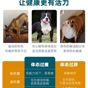 心粮狗粮恶c霸罗威纳金毛牛肉味中大型成犬粮通用型犬粮大包装