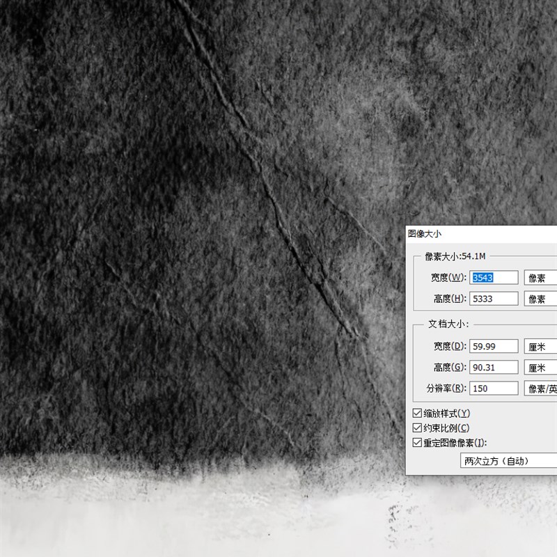 简约现代黑白抽象艺术线条人物树叶装饰画高清图片画芯喷绘素材库图片