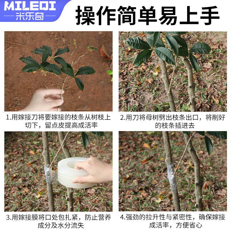 嫁接膜接树专用自粘果树苗月季免拆可降解缠绕绑带拉伸缠绕膜透明