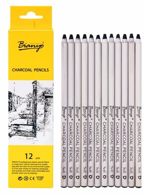 Bianyo Quality 12Pcs Soft Charcoal Pencil Set Wood Black Ar