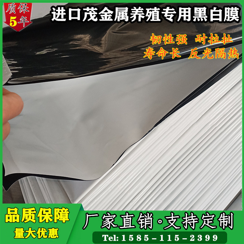 热销加厚防晒黑白膜养殖大棚膜养鸡食用菌种植塑料薄膜降温保温遮
