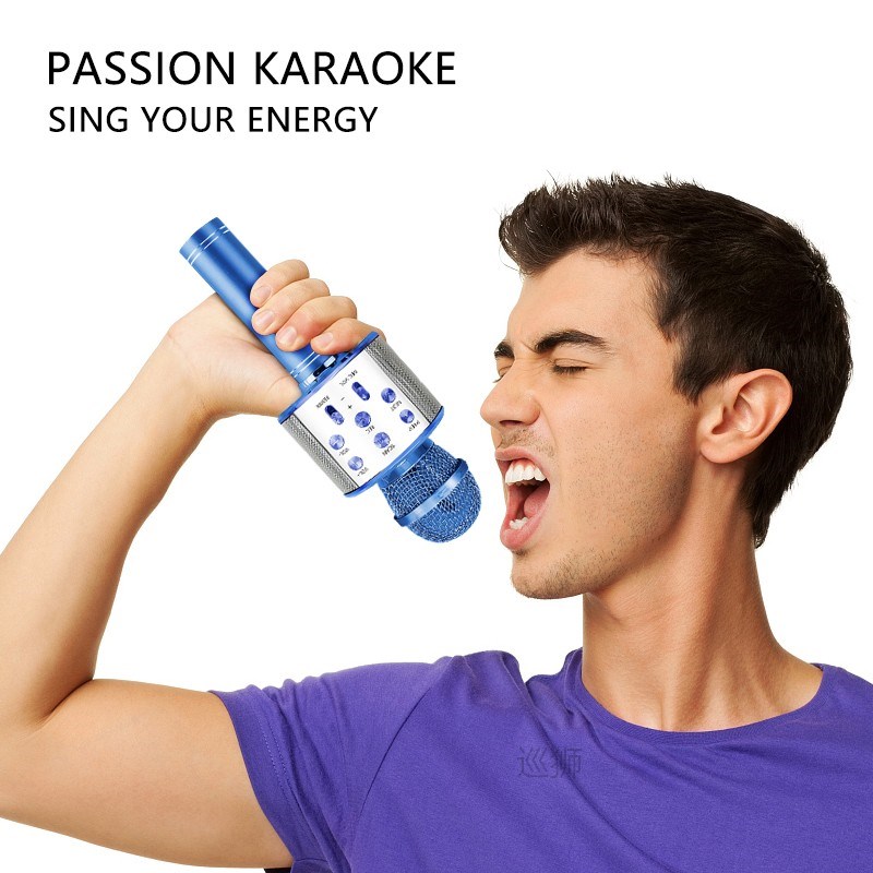 Bluetooth Wireless Microphone Handheld Karaoke Mic USB Mini