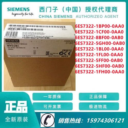 PLC 6E273S2-1BPF1CF/8B//5GH/1BL/1FL/5FF/5HF/1FH00-0AA0/0AB0