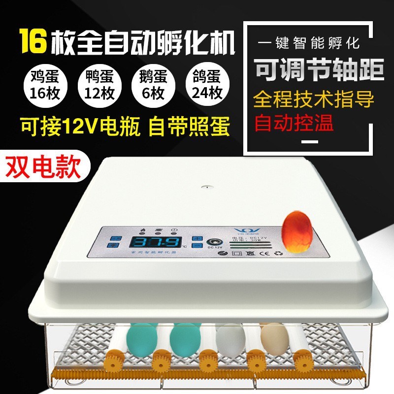 小型孵化机16枚全自动家用智能孵化器 36枚微型孵蛋器滚轴孵化箱