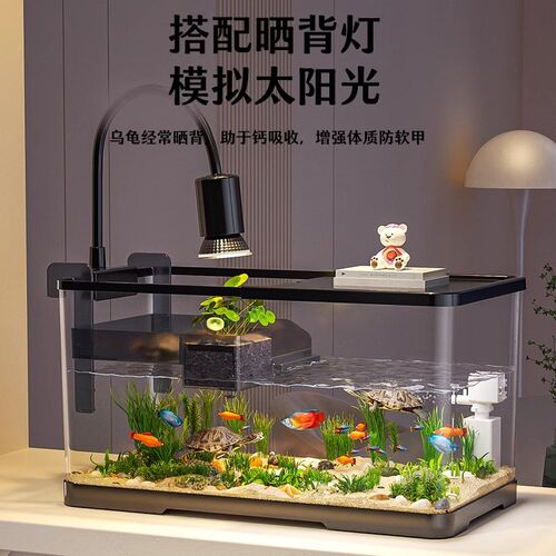 鱼缸小型客厅过滤制氧一体机混养乌龟饲养缸爬台桌面生态养龟专用
