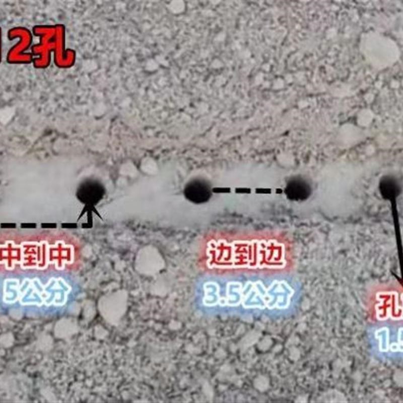 种葱神器栽葱机器栽苗器大葱叉子自动打孔工具洋葱种菜移栽移苗器