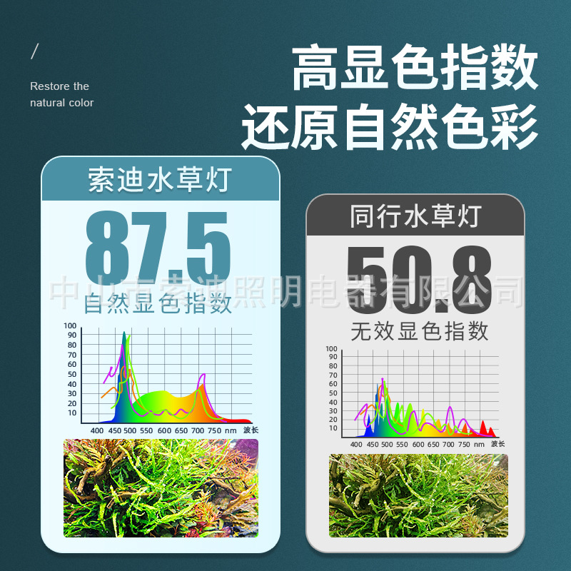 鱼缸箱夹灯led全谱光水草灯迷你小型水族灯专用照V明灯带定时开关