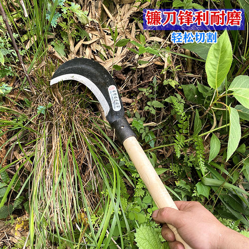 现货锰钢镰刀头割草刀农用t工具收割稻谷玉米大镰刀户外除草开路