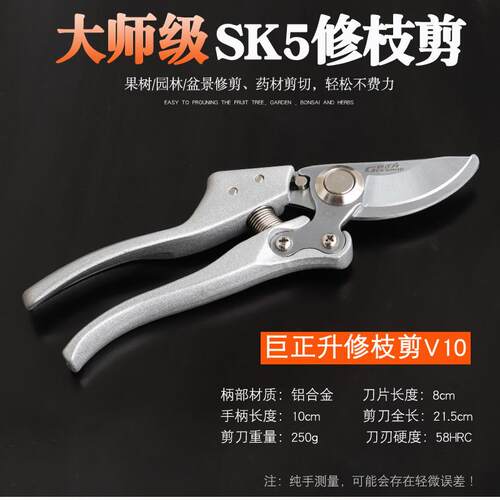小众高货剪修枝枝花剪刀园艺粗家用园林剪子日本果树枝果树修专用