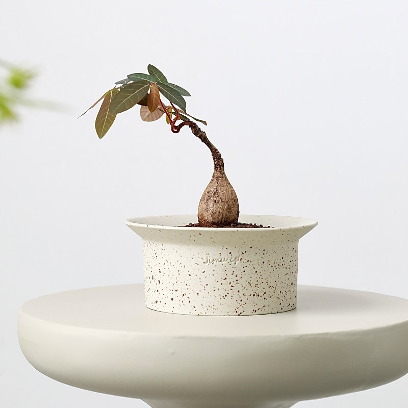 北欧简约陶瓷花盆矮创意块根粗陶陶土蕨类大口径多肉山乌龟陶盆小