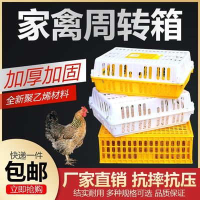 笼子鸭鸡笼鸡笼鸡周转箱笼转运输周转箱塑料s禽家鸽兔用养殖周成