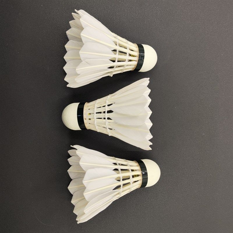 金拍子5号鹚鸪鸭全园羽毛球耐打稳定打感好12只装比赛训练,运动/瑜伽/健身/球迷用品,羽毛球,淘宝优惠券,粉丝福利购,淘宝优惠卷